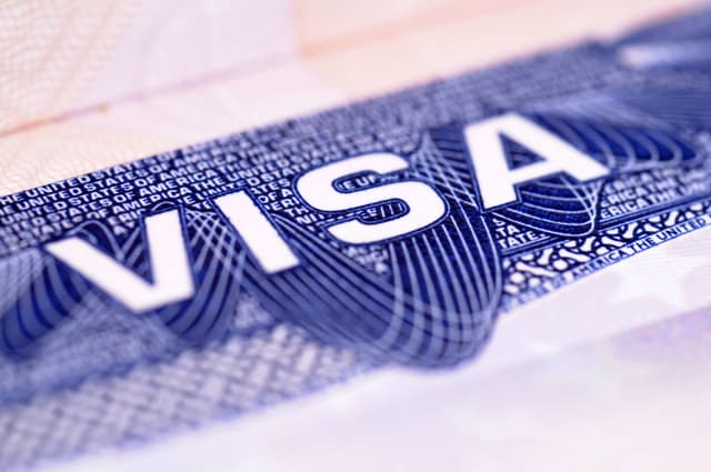 Visa Processing